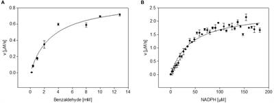 Real Time Monitoring of NADPH Concentrations in Corynebacterium glutamicum and Escherichia coli via the Genetically Encoded Sensor mBFP